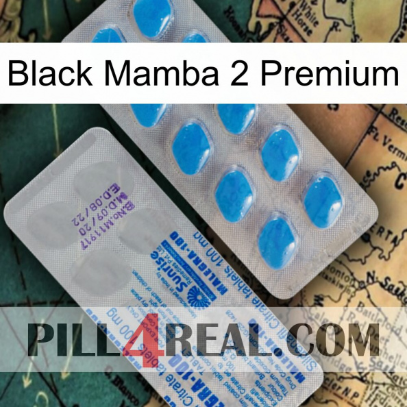 Black Mamba 2 Premium new15.jpg